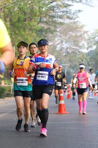 BIB: 40811, 40799
                            <button type="button" onclick="openModal(10355833)" class="btn btn-primary btn-sm float-right btn-popup" data-toggle="modal" data-target=".modal-high-quality">
                        <i class="fas fa-shopping-cart"></i> Add to Cart
                    </button>
                                            <button type="button" onclick="isThisMe(10355833, true)" class="btn btn-success btn-sm float-right btn-popup btn-isme hidden" data-toggle="tooltip" data-placement="bottom" title="นี่คือรูปของคุณใช่ไหม คลิกที่นี่เพื่อเอาเข้าอัลบั้ม">
                        <i class="fas fa-plus"></i> Add to album
                    </button>
                    <button type="button" onclick="isThisMe(10355833, false)" class="btn btn-warning btn-sm float-right btn-popup btn-isnotme hidden">
                        <i class="fas fa-ban"></i> Remove from album
                    </button>